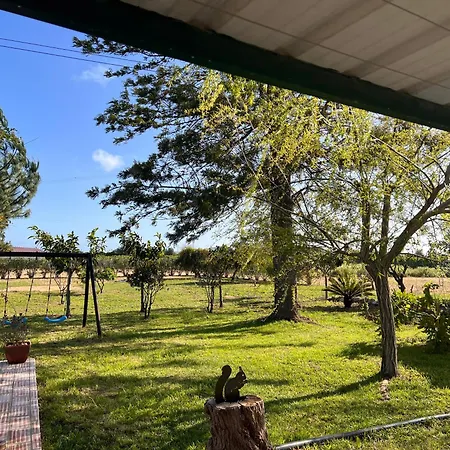 Quinta Dos Viegas