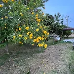 Feriehus Quinta Dos Viegas