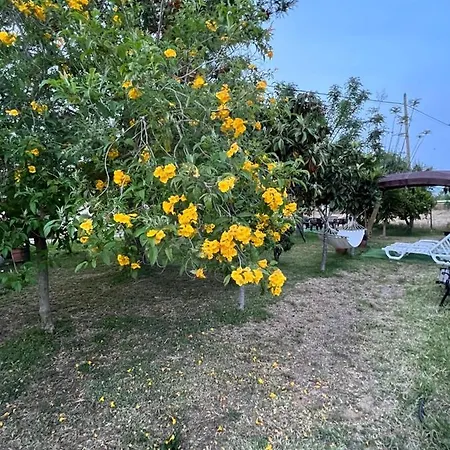 Feriehus Quinta Dos Viegas