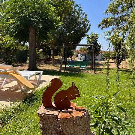 Дом отдыха Quinta Dos Viegas