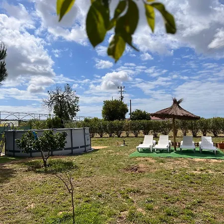 Дом отдыха Quinta Dos Viegas