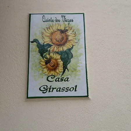 Quinta Dos Viegas Casa vacanze Distretto di Faro