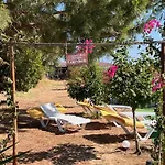 Quinta Dos Viegas Holiday home *
