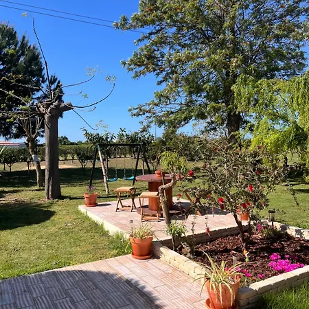Quinta Dos Viegas *